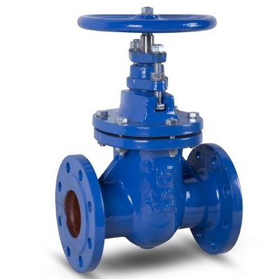 DN100 PN 10 và 16 Van cổng ngồi bằng kim loại Thân hình bầu dục Gang bên trong Vít